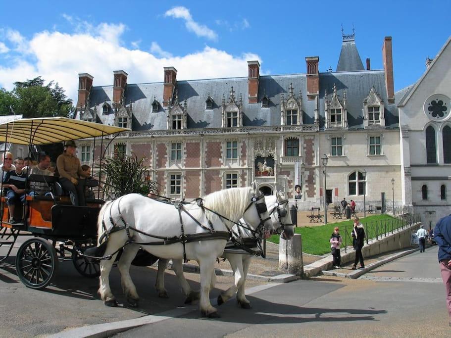 Blois City - Le Petit Louis XII Luaran gambar